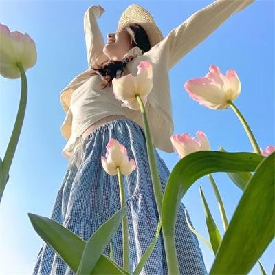 九域之天眼崛起